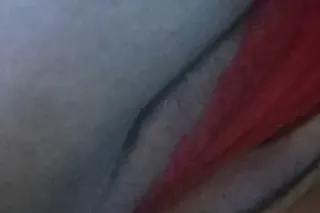 Just checking in to say, "Hey!" to those who miss me. 😁 - Image 4